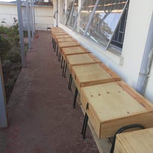 Student Lockers